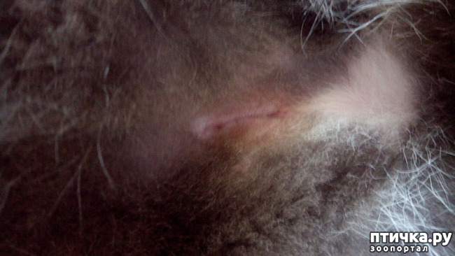 ���� 2: ������� �������