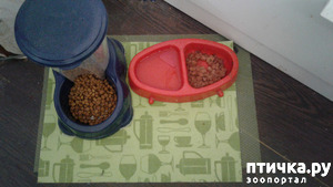 ����: ������ ��� �����.