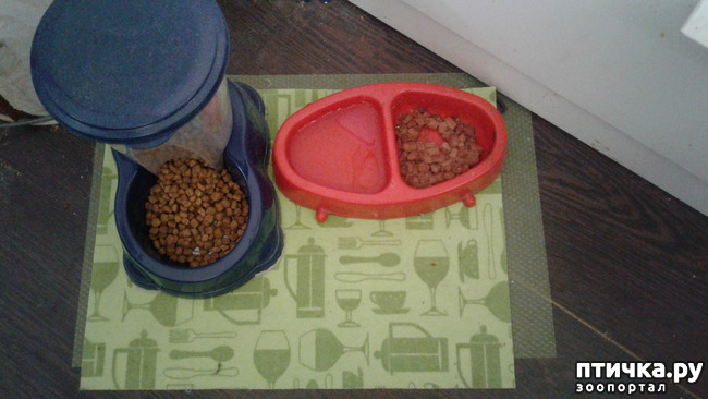 ���� 1: ������ ��� �����.