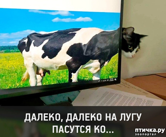 ���� 1: �������