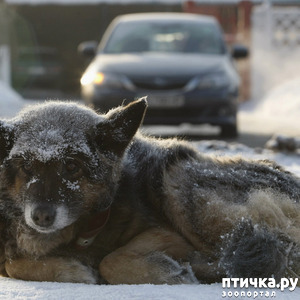 ����: ��������� ������� ������������