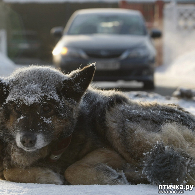 ���� 1: ��������� ������� ������������