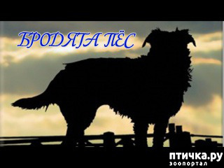 ���� 1: �������-Ϩ� � �������