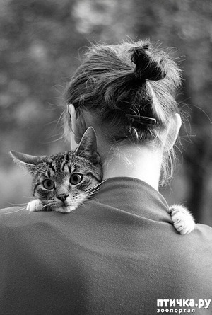 ����: ����