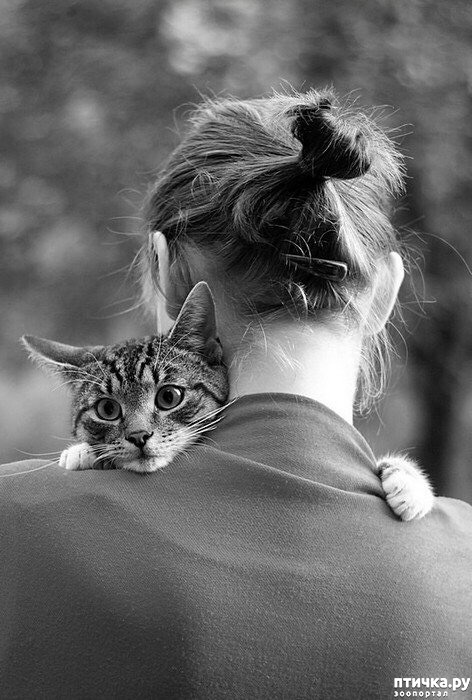 ���� 1: ����