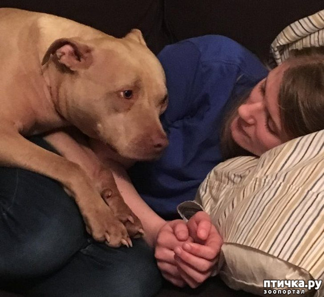 ���� 9: ������, ������� ��� ��� �� ����� ������