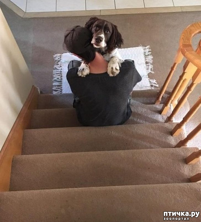 ���� 10: ������, ������� ��� ��� �� ����� ������