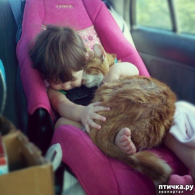 ���� 13: � ����� ������� ������