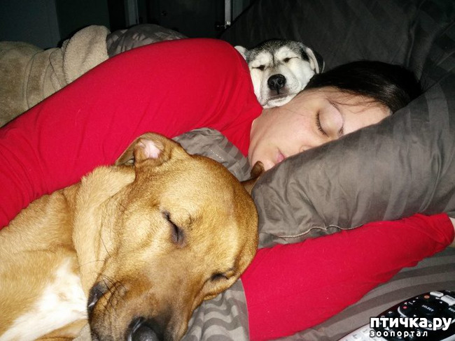 ���� 12: ������, ������� ��� ��� �� ����� ������