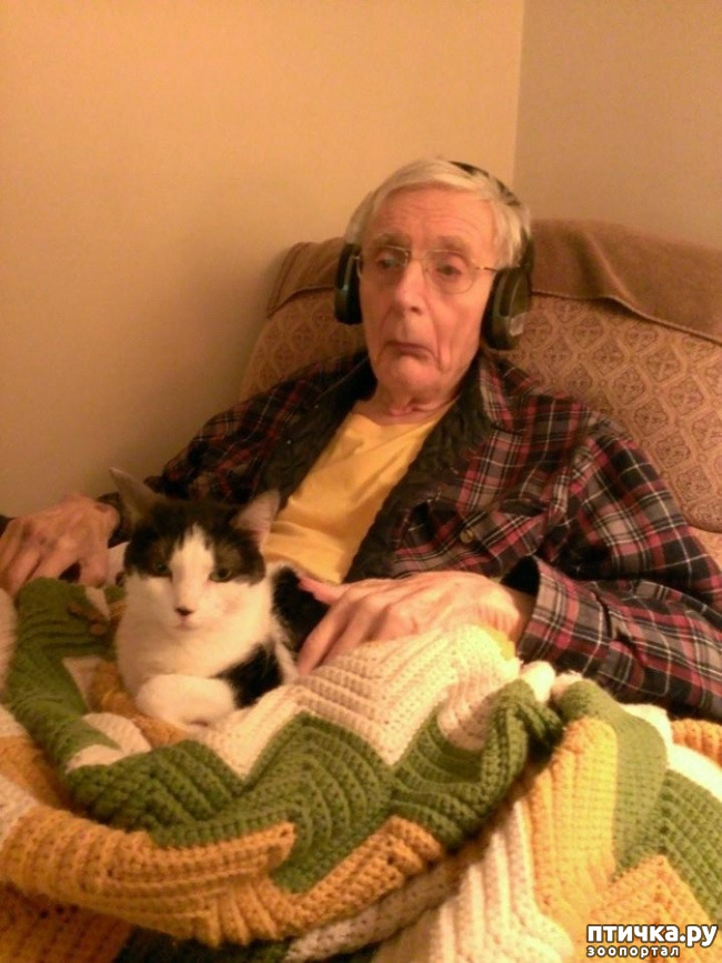 ���� 15: � ����� ������� ������