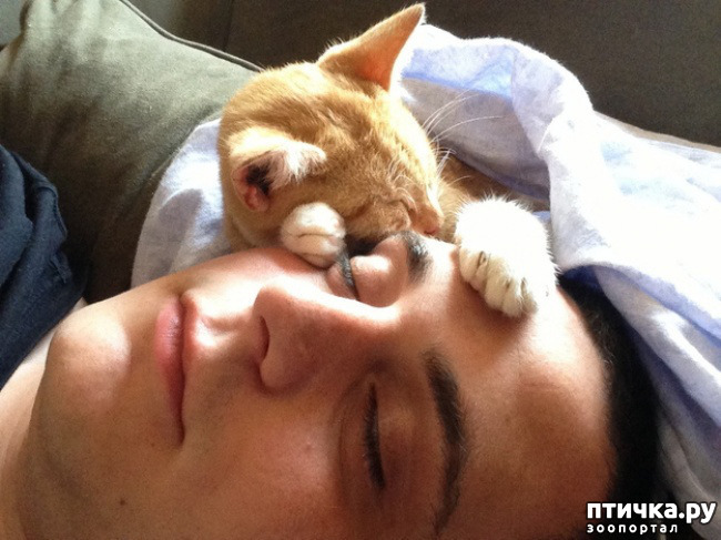 ���� 16: � ����� ������� ������