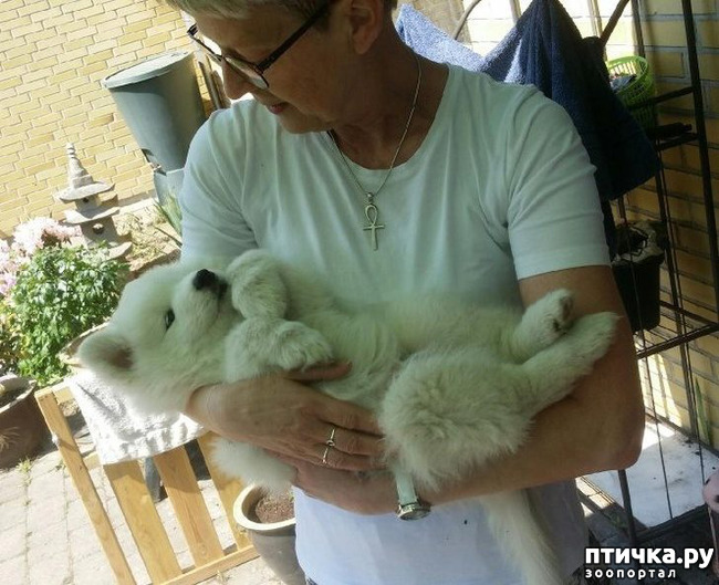 ���� 13: ������, ������� ��� ��� �� ����� ������