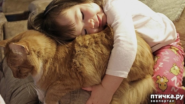 ���� 17: � ����� ������� ������