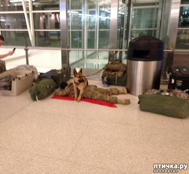 ���� 16: ������, ������� ��� ��� �� ����� ������