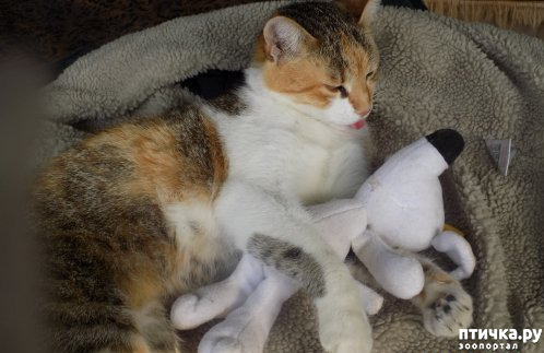 ���� 37: ��� ��� ���������