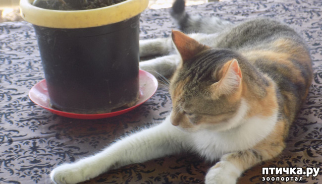 ���� 38: ��� ��� ���������