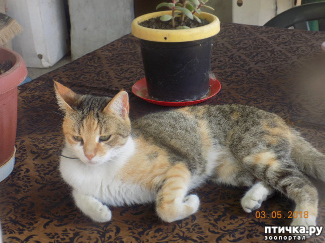 ���� 39: ��� ��� ���������