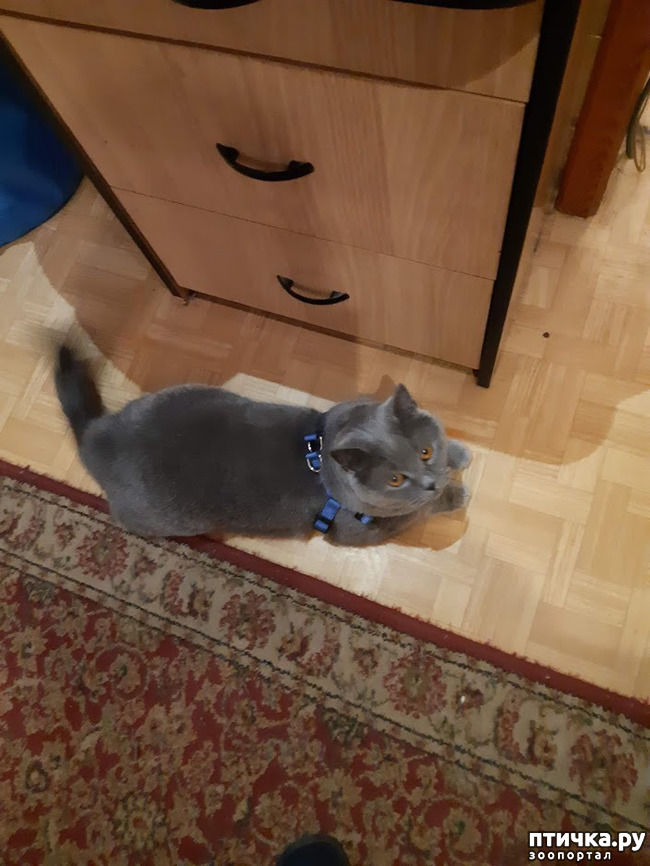 ���� 1: ���� - 2019. ������