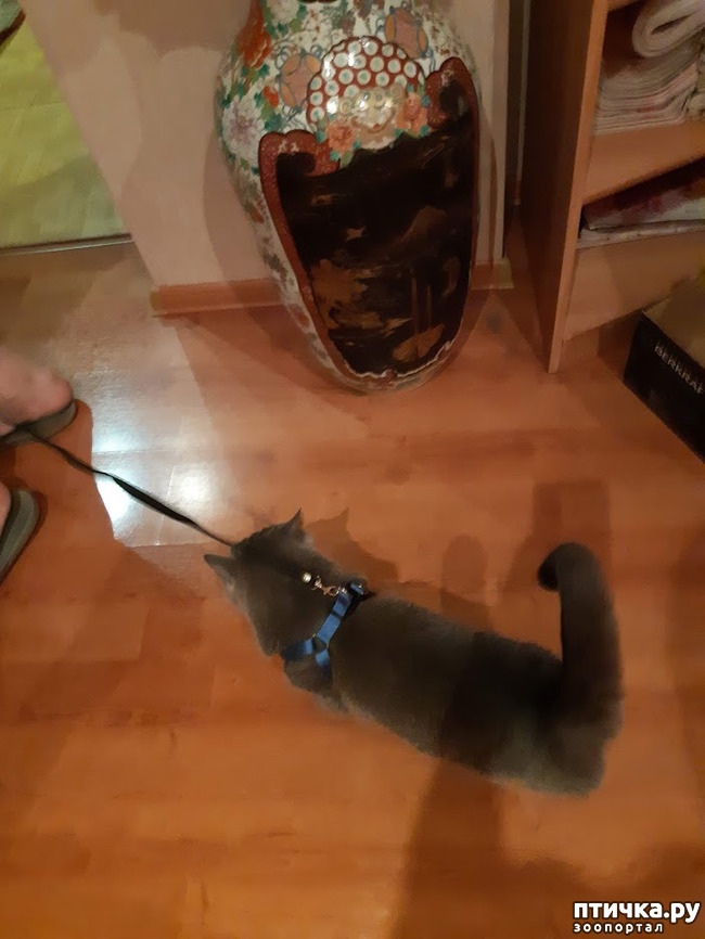 ���� 3: ���� - 2019. ������