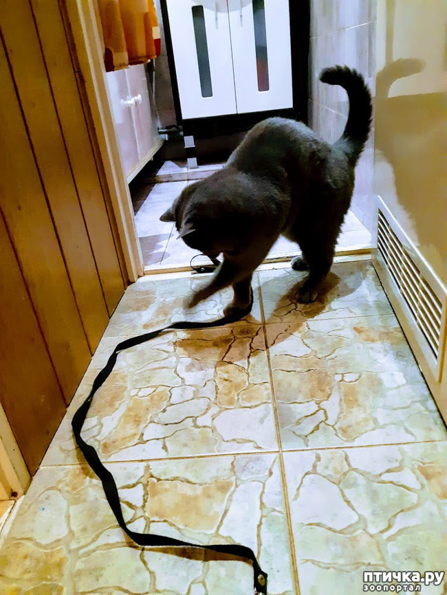 ���� 4: ���� - 2019. ������