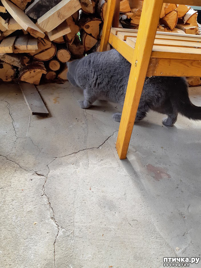 ���� 5: ���� - 2019. ������