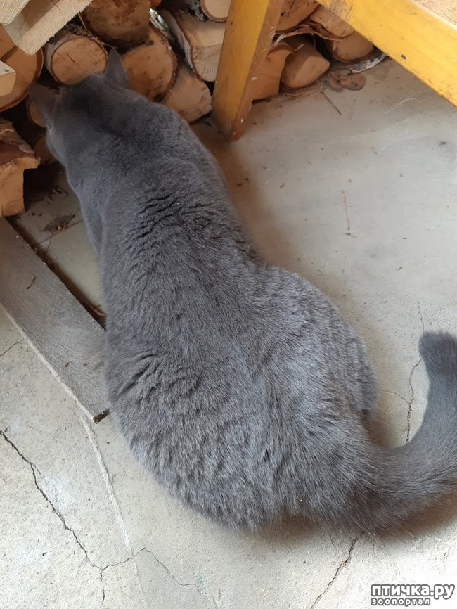 ���� 6: ���� - 2019. ������