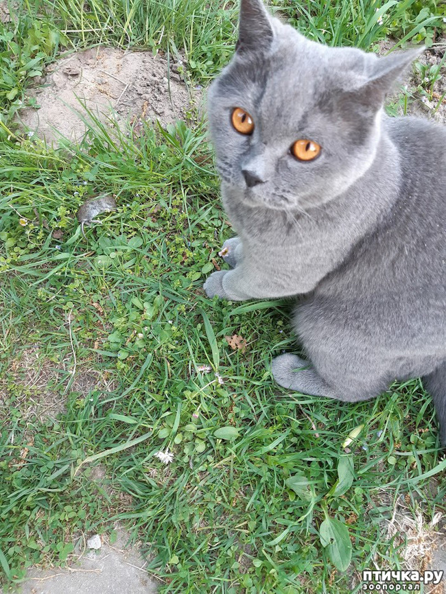 ���� 7: ���� - 2019. ������