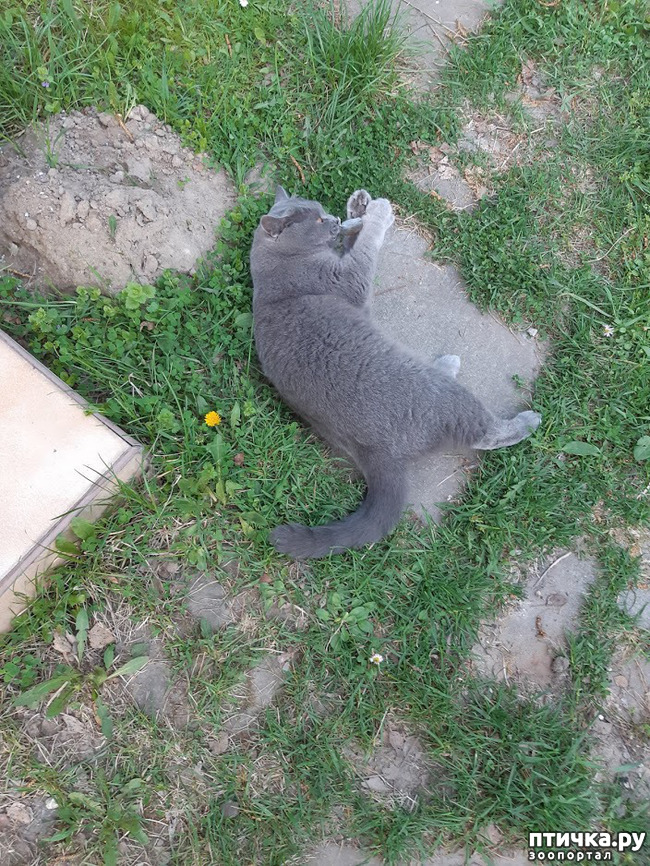 ���� 8: ���� - 2019. ������