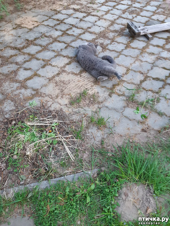 ���� 9: ���� - 2019. ������