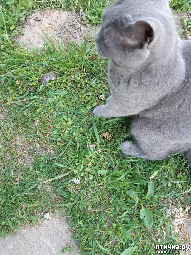 ���� 10: ���� - 2019. ������