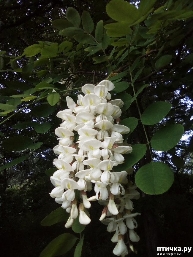 ���� 4: ��� ��� ���������