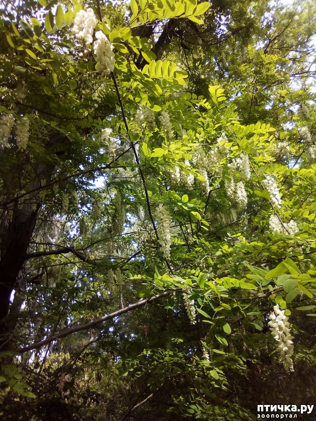 ���� 5: ��� ��� ���������