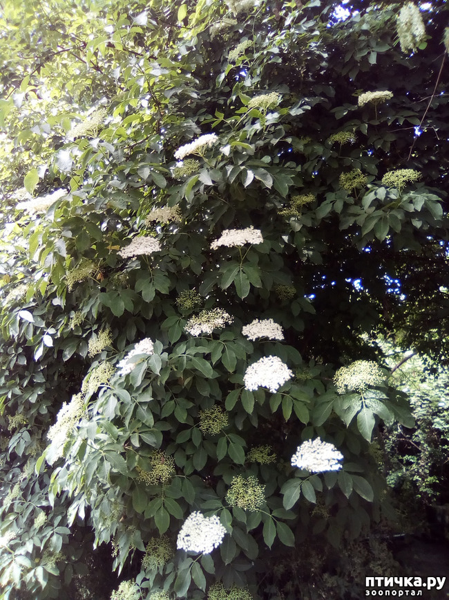 ���� 6: ��� ��� ���������