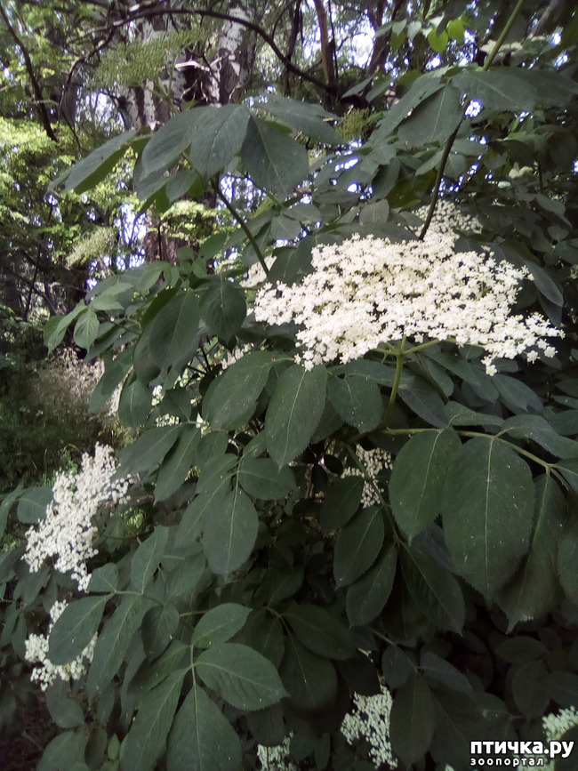 ���� 7: ��� ��� ���������