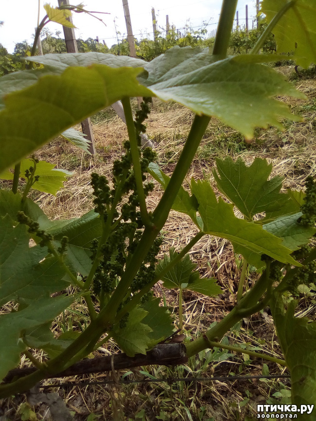 ���� 8: ��� ��� ���������