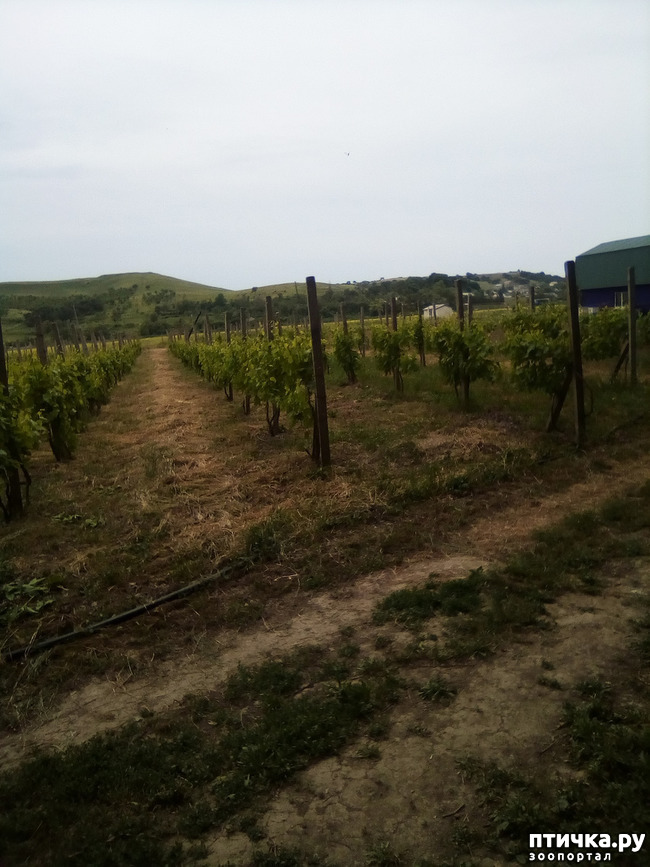 ���� 9: ��� ��� ���������