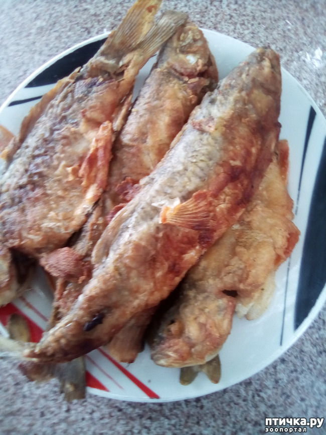 ���� 10: ��� ��� ���������