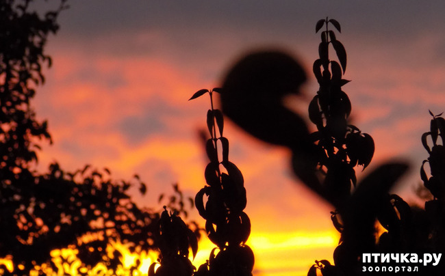 ���� 42: ��� ��� ���������