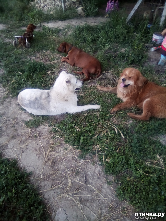 ���� 11: ��� ��� ���������