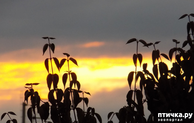 ���� 43: ��� ��� ���������