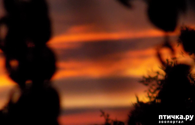 ���� 44: ��� ��� ���������