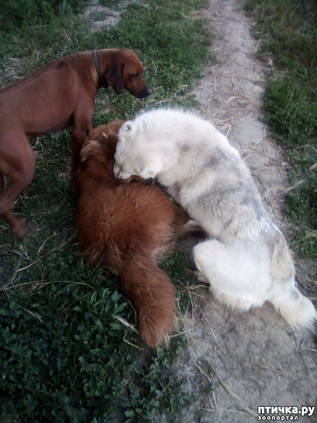 ���� 12: ��� ��� ���������