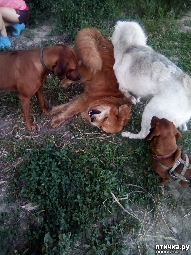 ���� 13: ��� ��� ���������