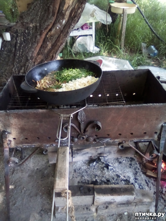 ���� 14: ��� ��� ���������