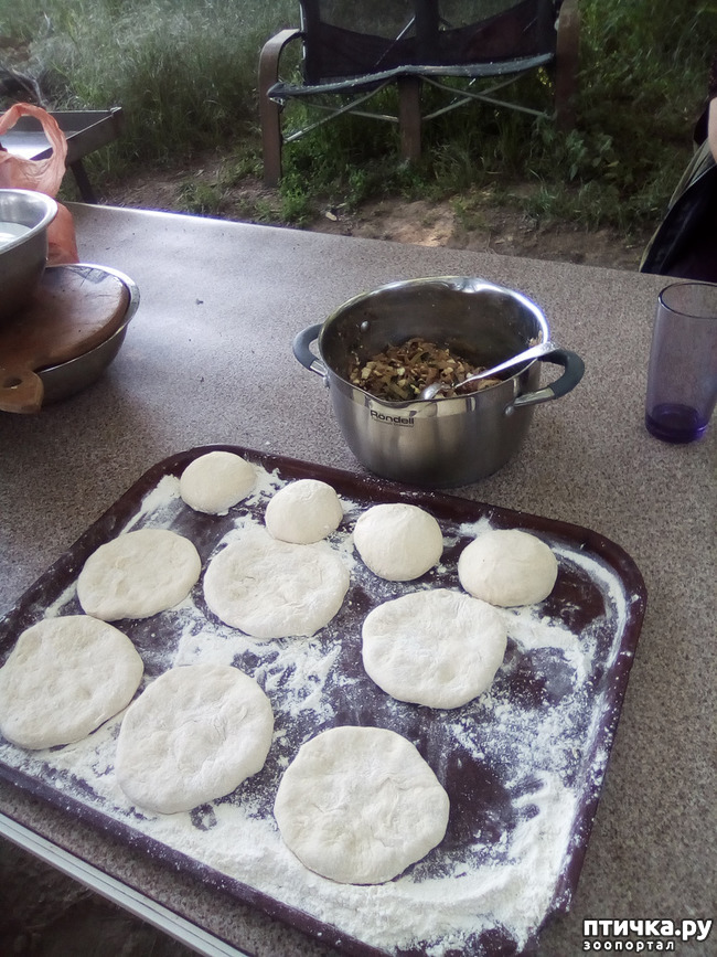 ���� 15: ��� ��� ���������