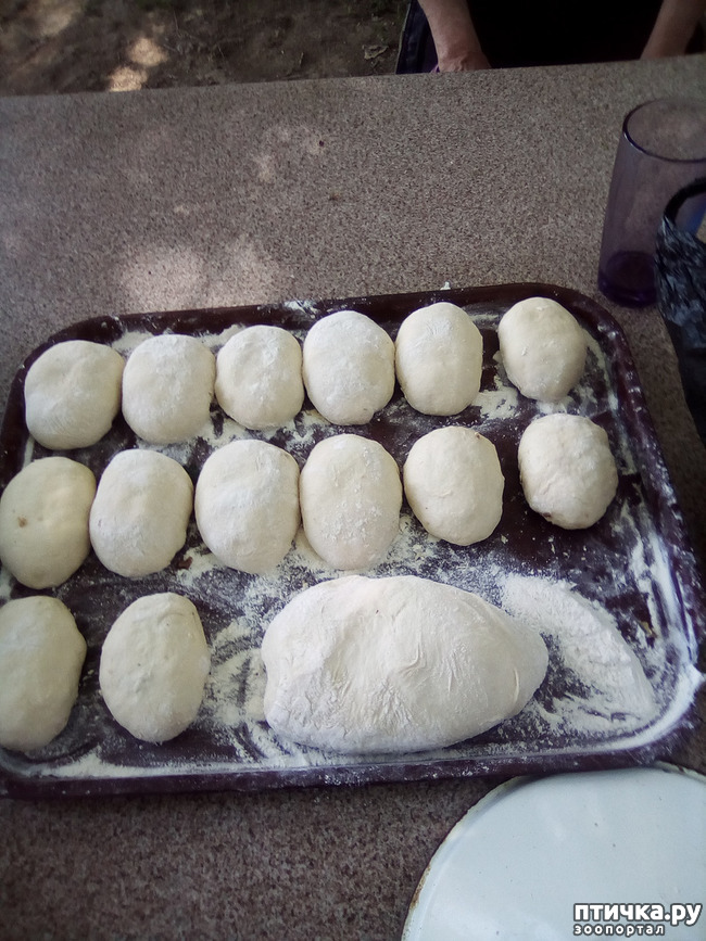 ���� 16: ��� ��� ���������