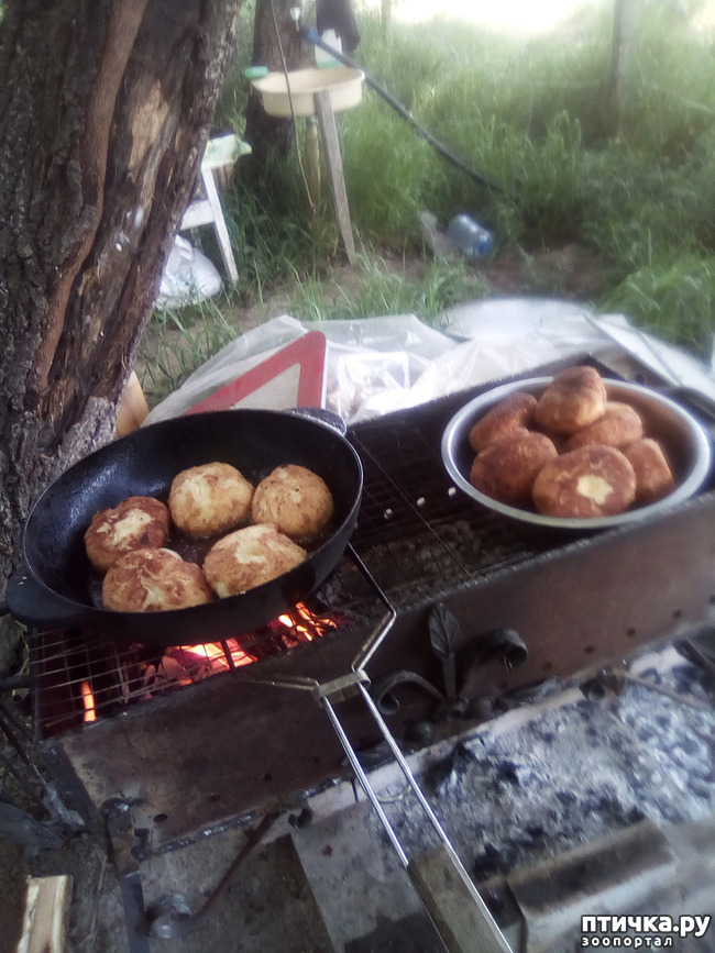 ���� 17: ��� ��� ���������