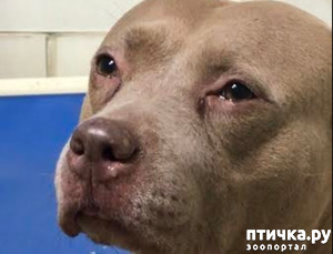 ����: �� ������ ������� ����� �����...