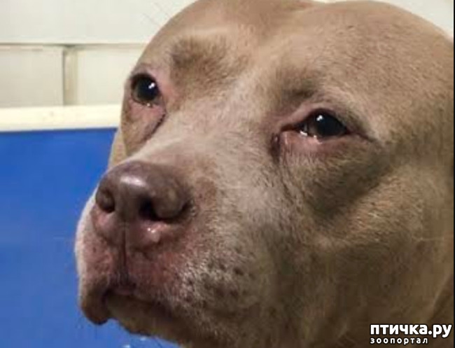 ���� 1: �� ������ ������� ����� �����...