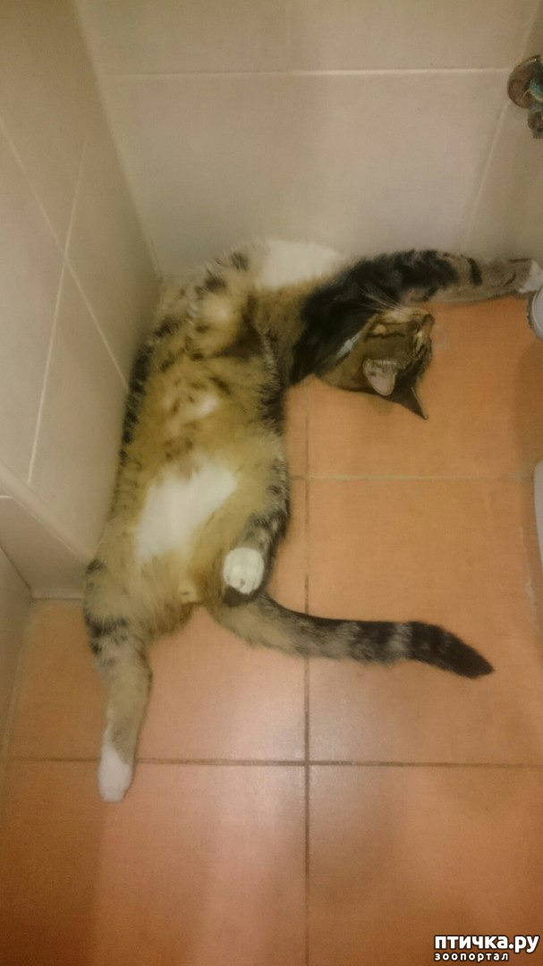 ���� 41: ��� ��� ���������